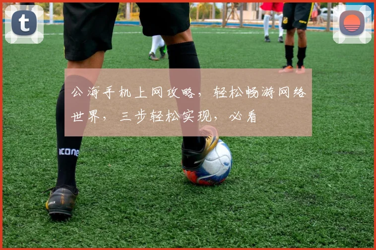 公海手机上网攻略，轻松畅游网络世界，三步轻松实现，必看
