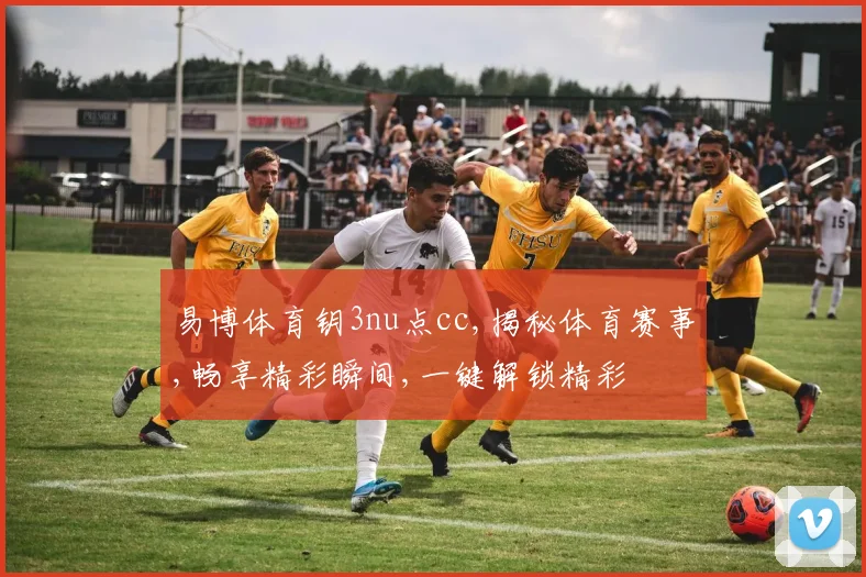 易博体育钥3nu点cc,揭秘体育赛事,畅享精彩瞬间,一键解锁精彩
