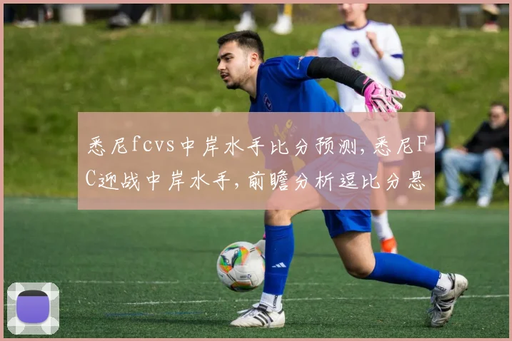 悉尼fcvs中岸水手比分预测,悉尼FC迎战中岸水手,前瞻分析逗比分悬念