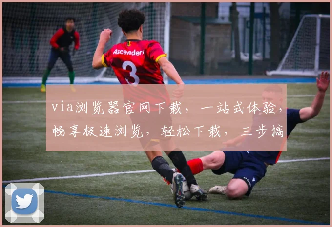 via浏览器官网下载，一站式体验，畅享极速浏览，轻松下载，三步搞定，必看攻略，不容错过